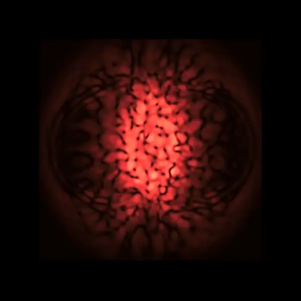 Slide 5